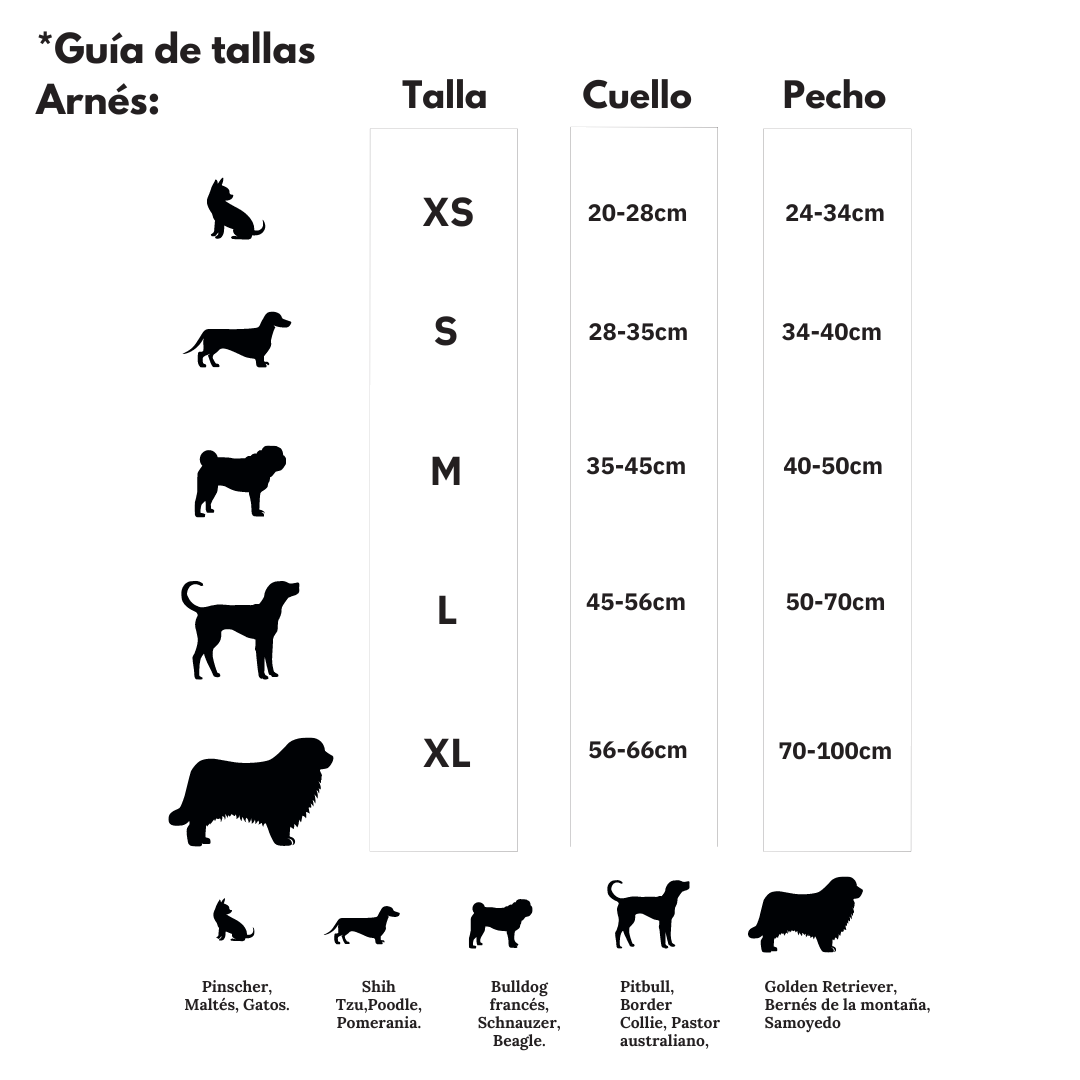 Arnés anti tirones premium Lila