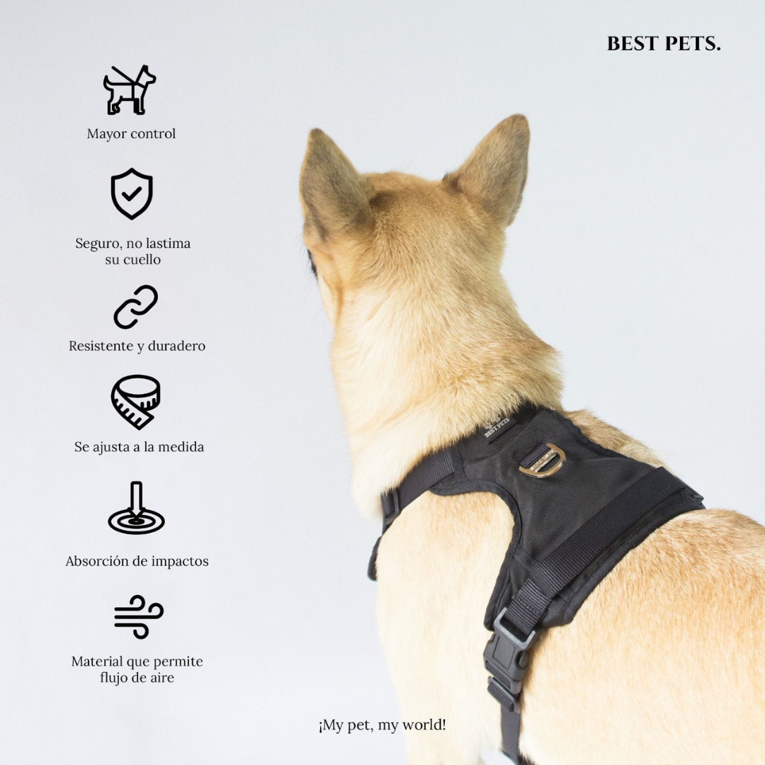 Arnés Clásico Best Pets - Descuentos de hasta el 50% OFF