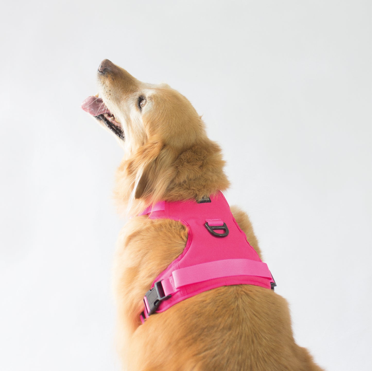 Combo Premium: Arnés Antitirones + Lazo + Collar