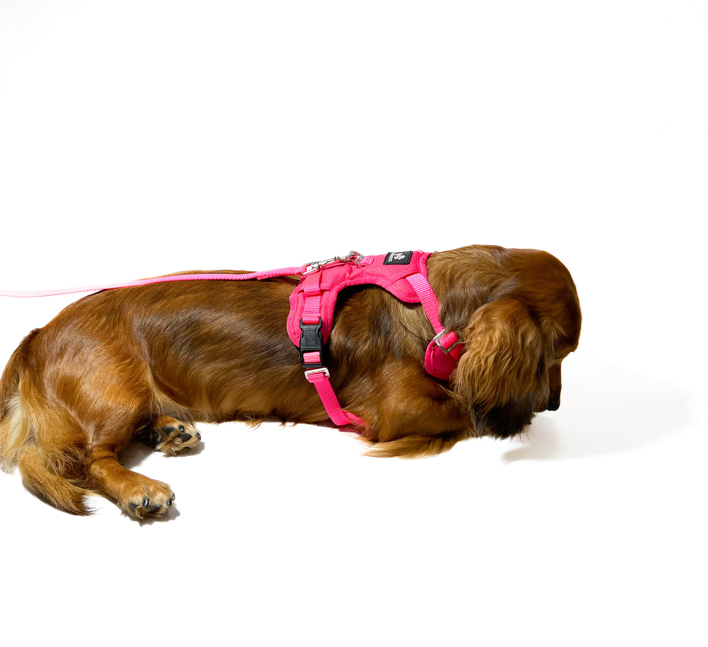 Arnés anti tirones premium fucsia