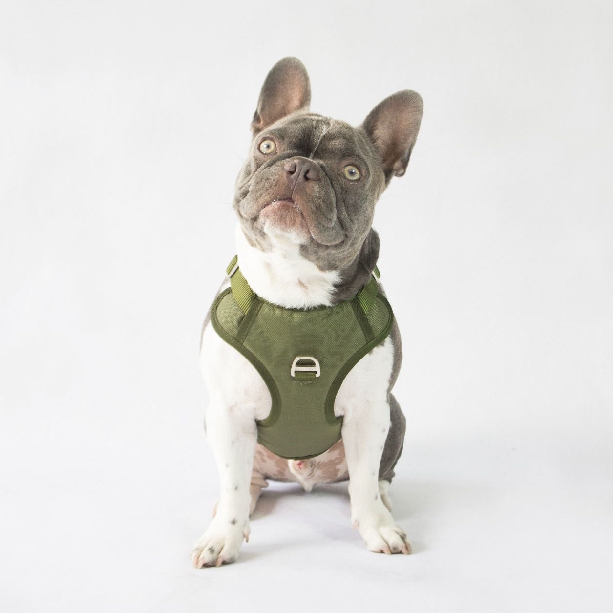 Combo Premium: Arnés Antitirones + Lazo + Collar