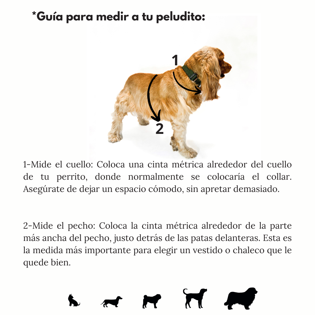 Arnés anti tirones premium Gris