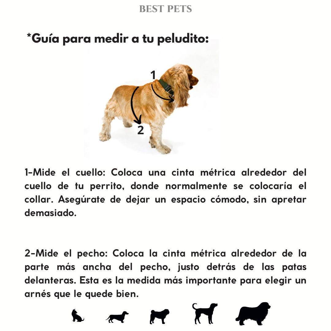 Arnés anti tirones premium rosa