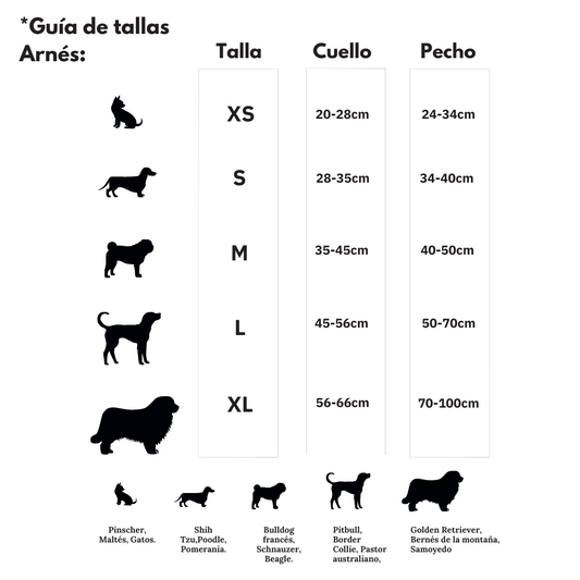 ¿Cómo saber cuál es la talla de mi perro?