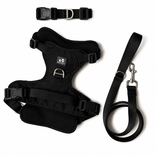 Combo Premium: Arnés Antitirones + Lazo + Collar