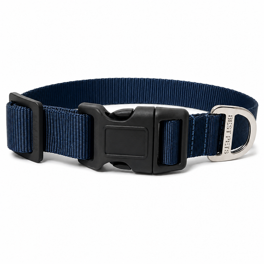 Collar premium azul petroleo