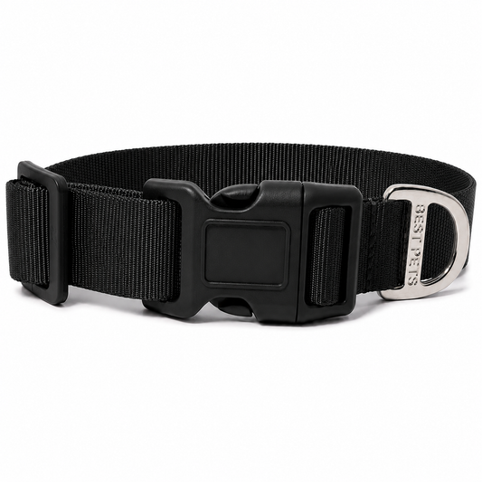Collar premium negro