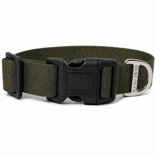 Collar premium verde