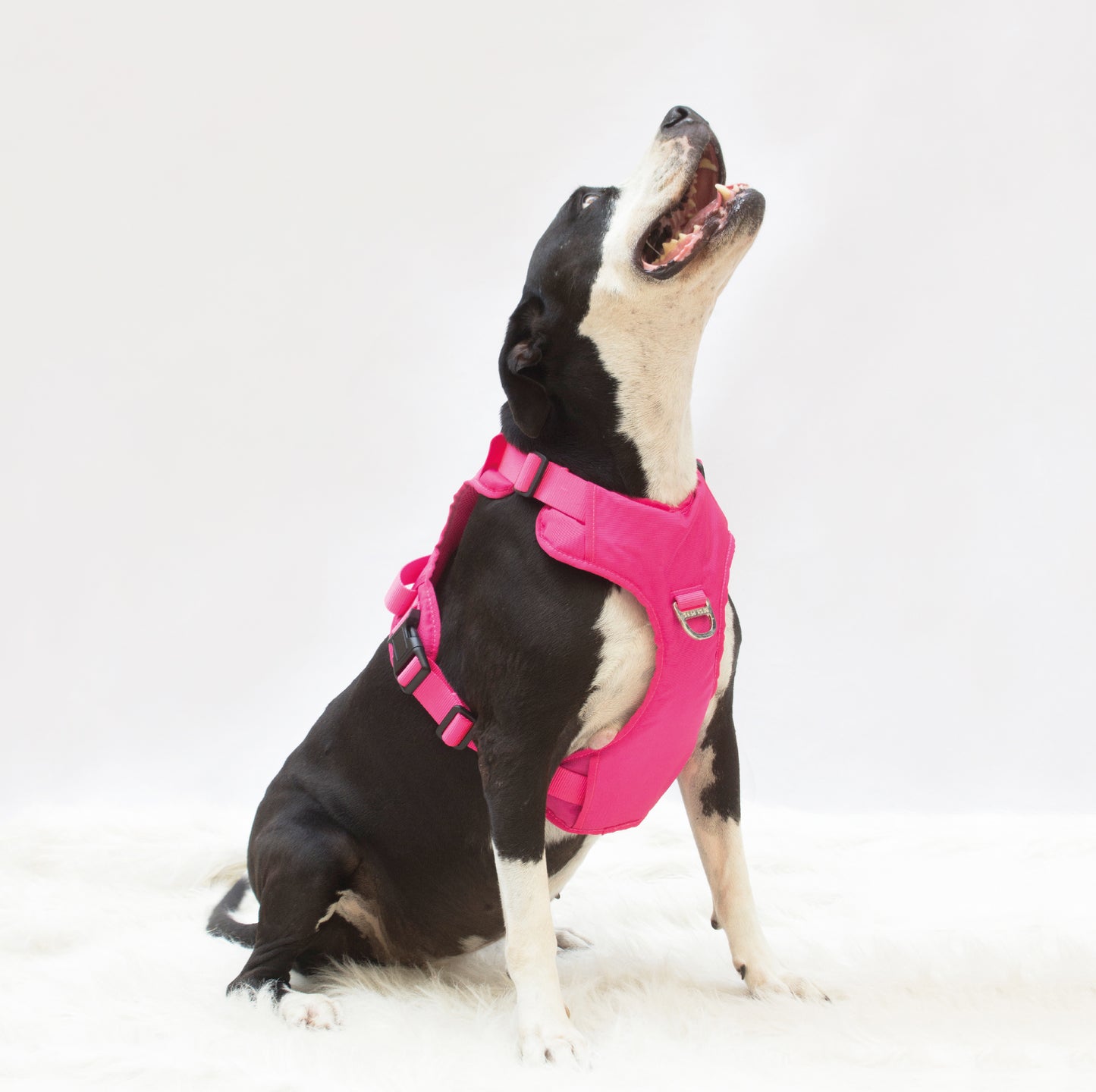 Combo Premium: Arnés Antitirones + Lazo + Collar