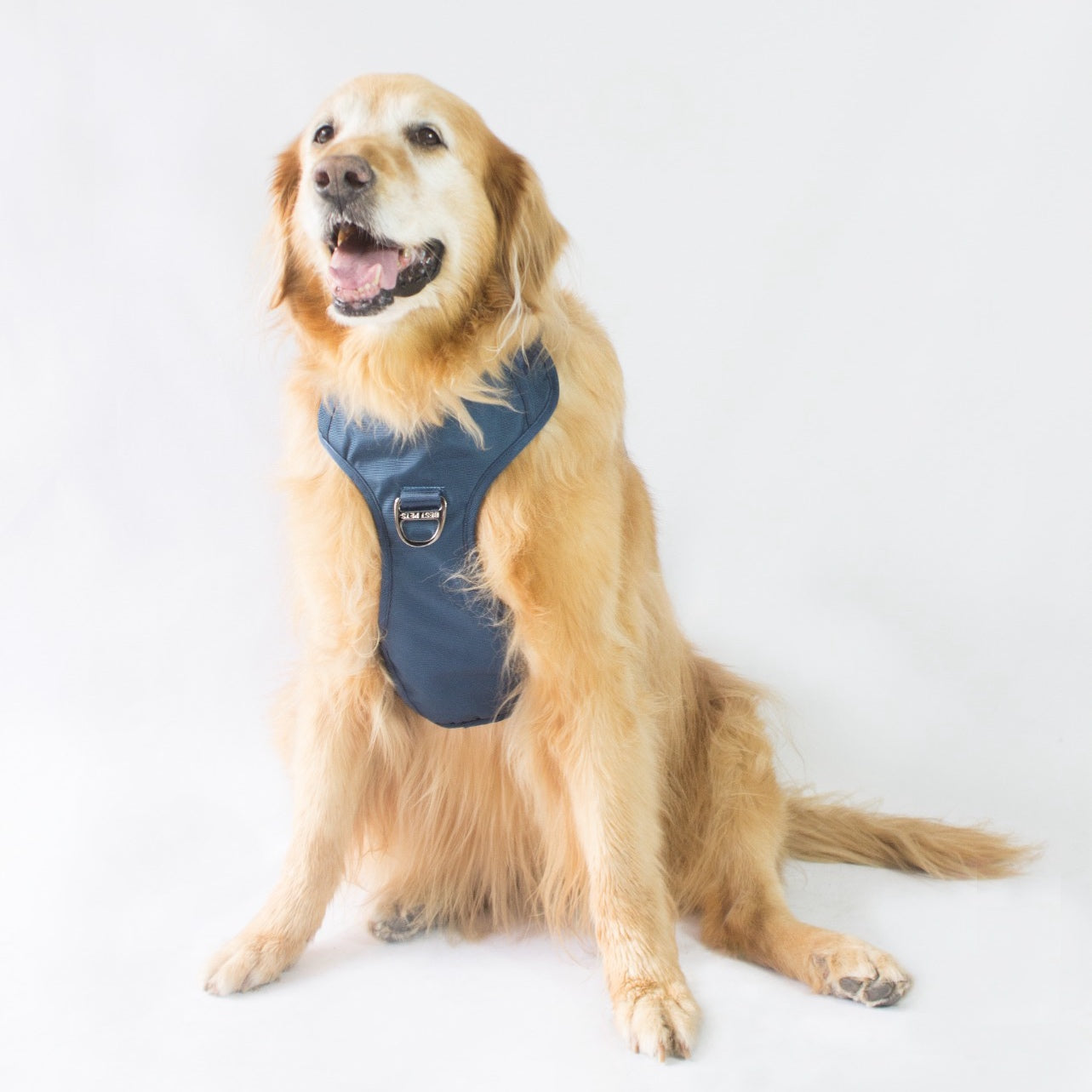 Combo Premium: Arnés Antitirones + Lazo + Collar